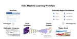 Machine learning in fisheries acoustics