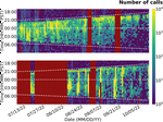 Passive acoustic monitoring in the Union Bay Natural Area